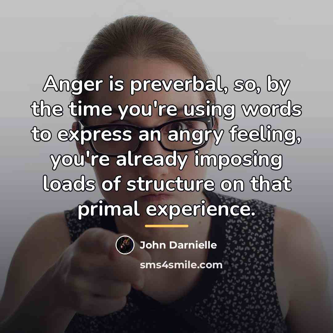 “Anger is preverbal, so, by the time you're using words…” quote by John Darnielle