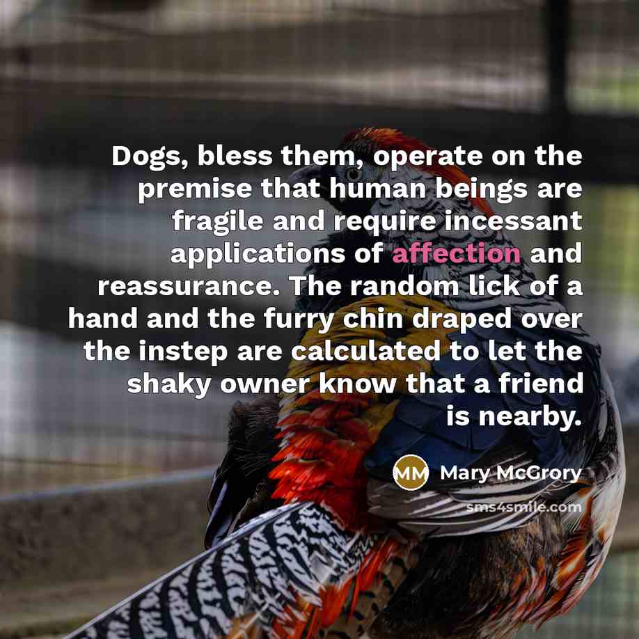 “Dogs, bless them, operate on the premise that human beings…” quote by Mary McGrory