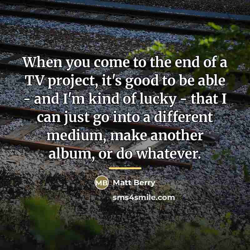 “When you come to the end of a TV project,…” quote by Matt Berry