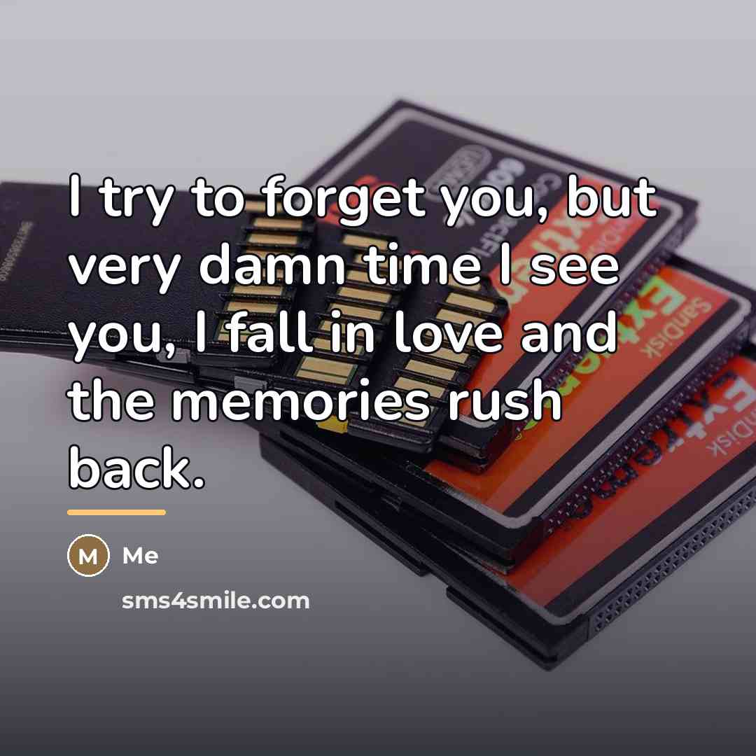 “I try to forget you, but very damn time I…” quote by Me