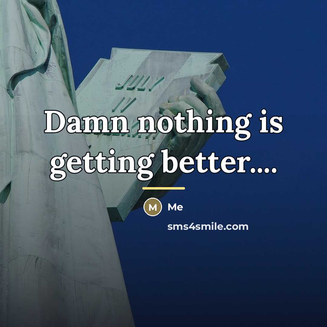“Damn nothing is getting better....…” quote by Me