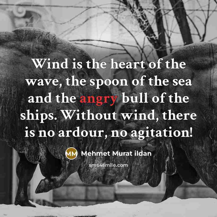 “Wind is the heart of the wave, the spoon of…” quote by Mehmet Murat Ildan