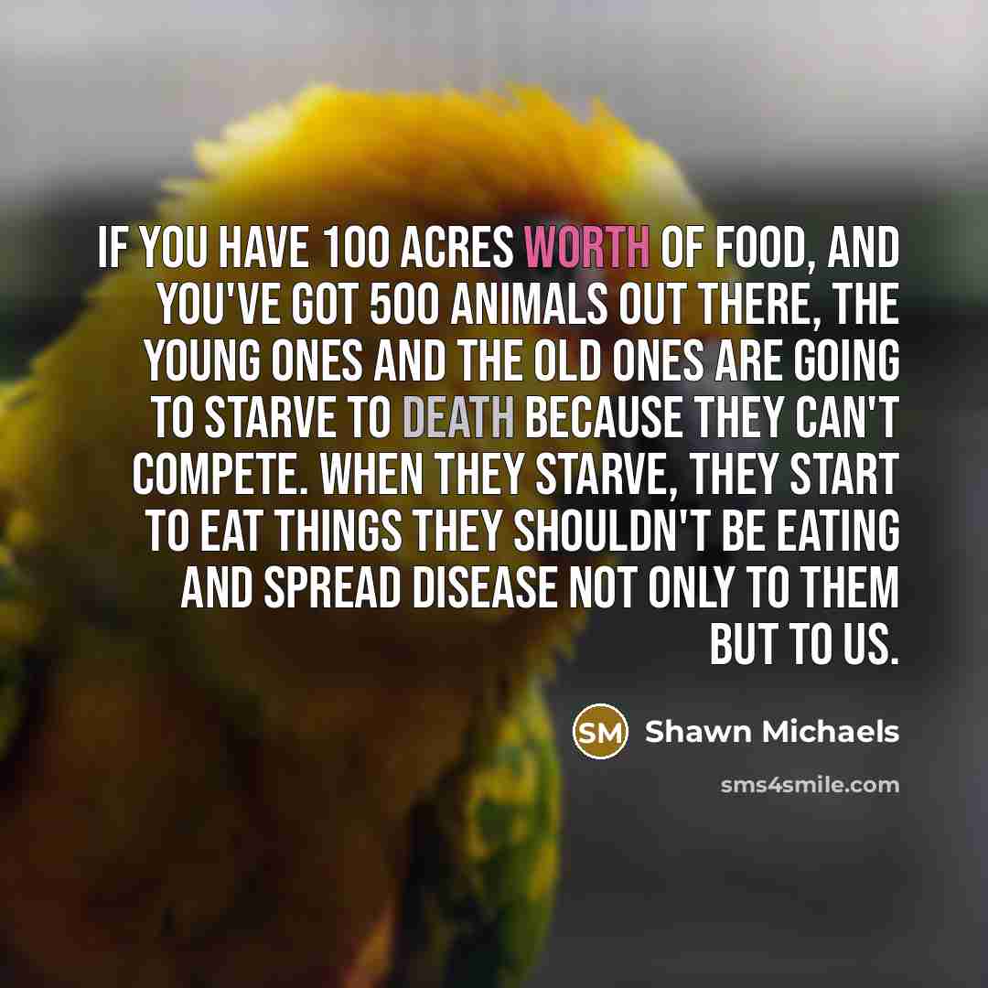 “If you have 100 acres worth of food, and you've…” quote by Shawn Michaels