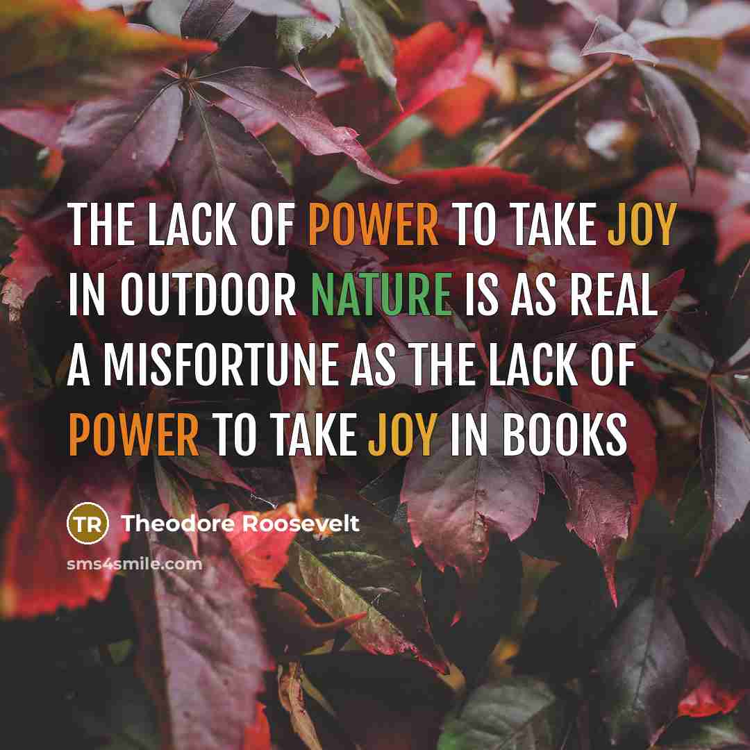 “The lack of power to take joy in outdoor nature…” quote by Theodore Roosevelt