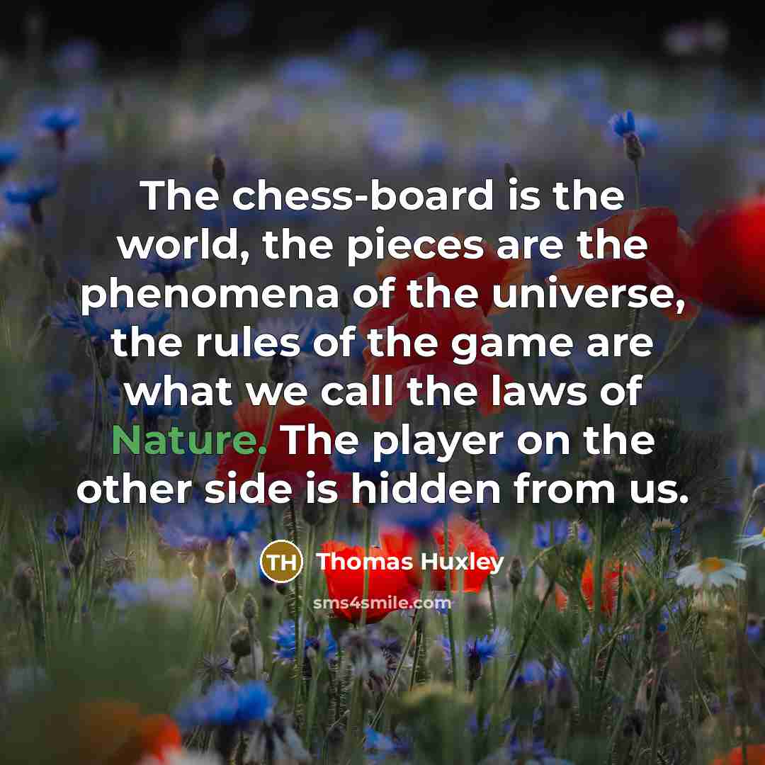 “The chess-board is the world, the pieces are the phenomena of the universe, the rules of the game are what we call the laws of Nature. The player on the other side is hidden from us.” quote by Thomas Huxley