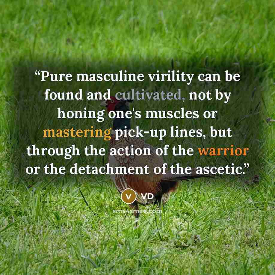 “Pure masculine virility can be found and cultivated, not by honing one's muscles or mastering pick-up lines, but through the action of the warrior or the detachment of the ascetic.” quote by VD