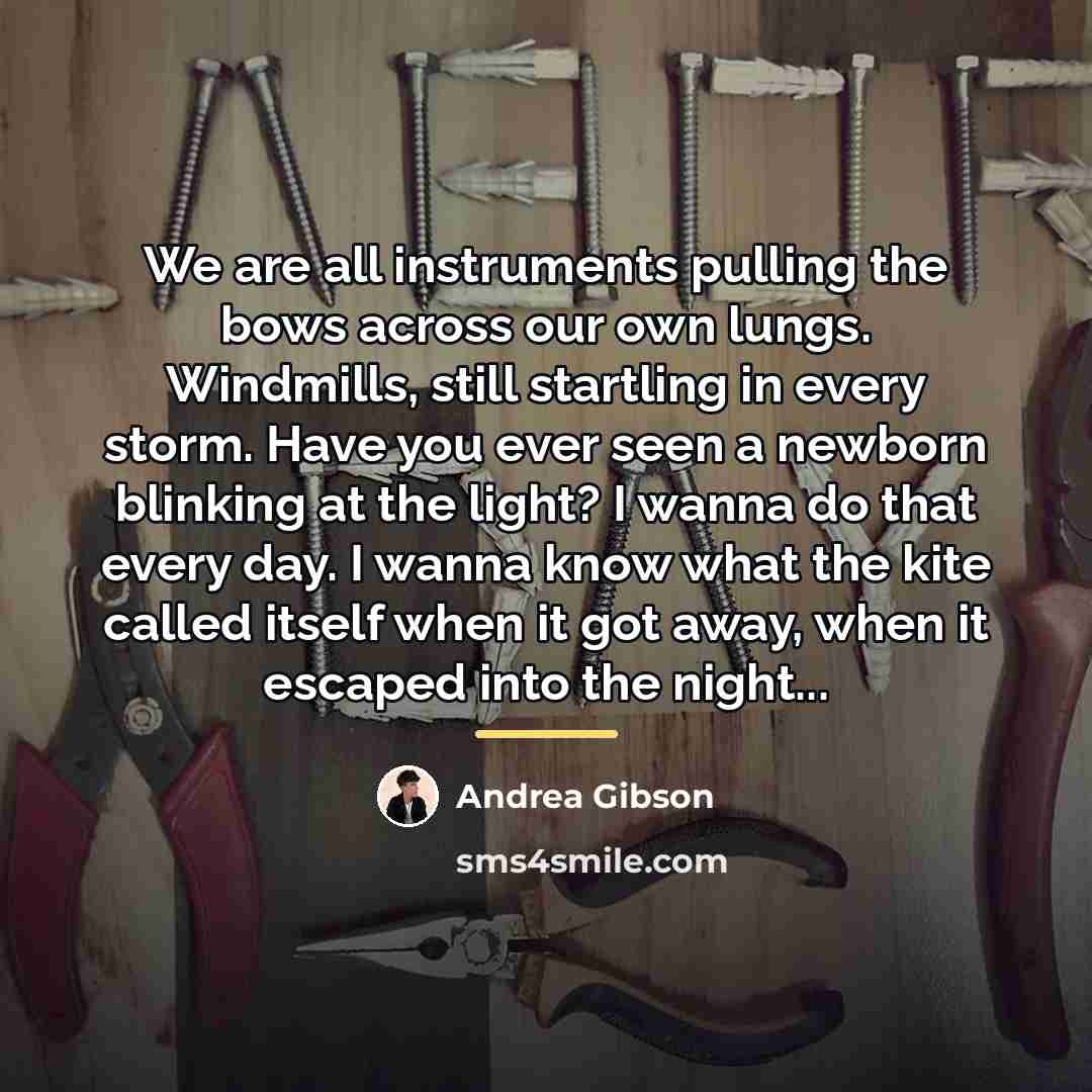 “We are all instruments pulling the bows across our own…” quote by Andrea Gibson