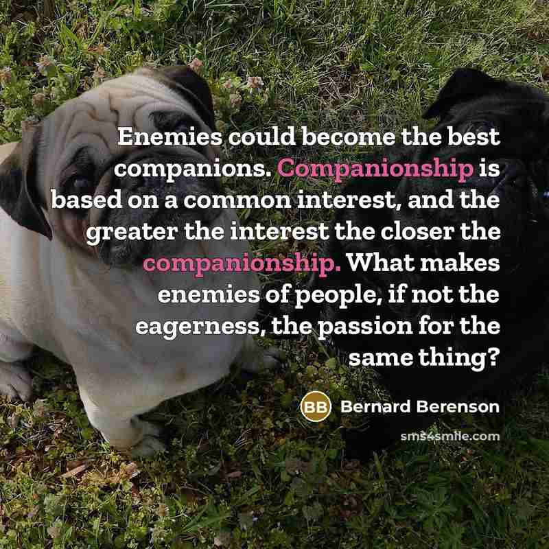 “Enemies could become the best companions. Companionship is based on…” quote by Bernard Berenson