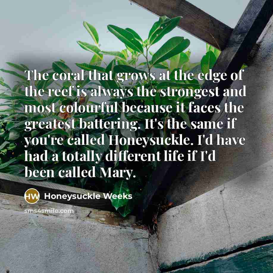 “The coral that grows at the edge of the reef…” quote by Honeysuckle Weeks