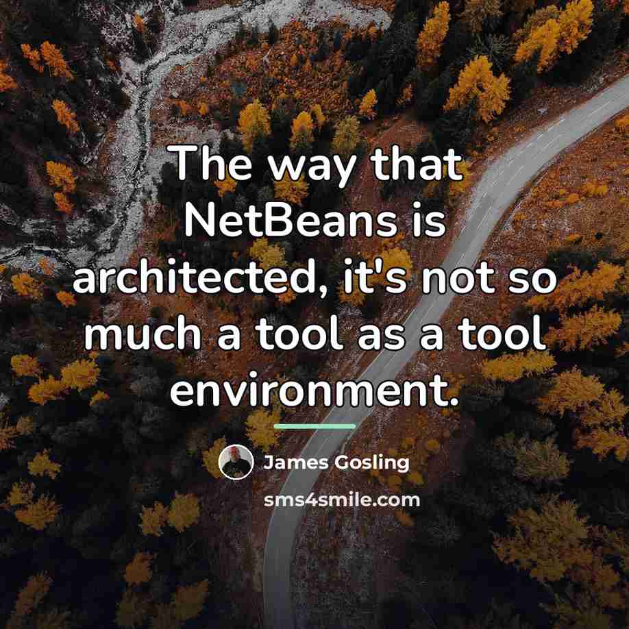 “The way that NetBeans is architected, it's not so much…” quote by James Gosling