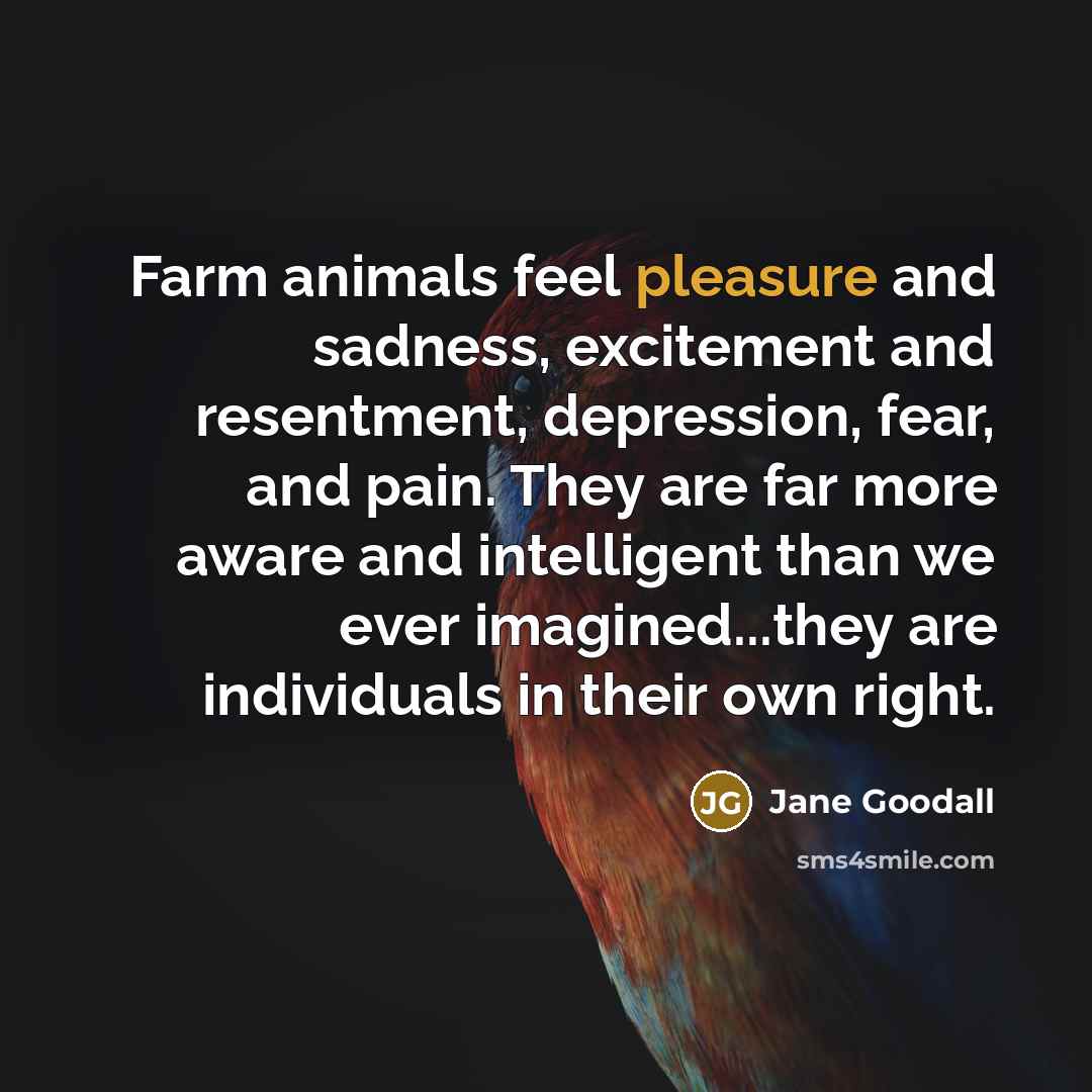 “Farm animals feel pleasure and sadness, excitement and resentment, depression,…” quote by Jane Goodall