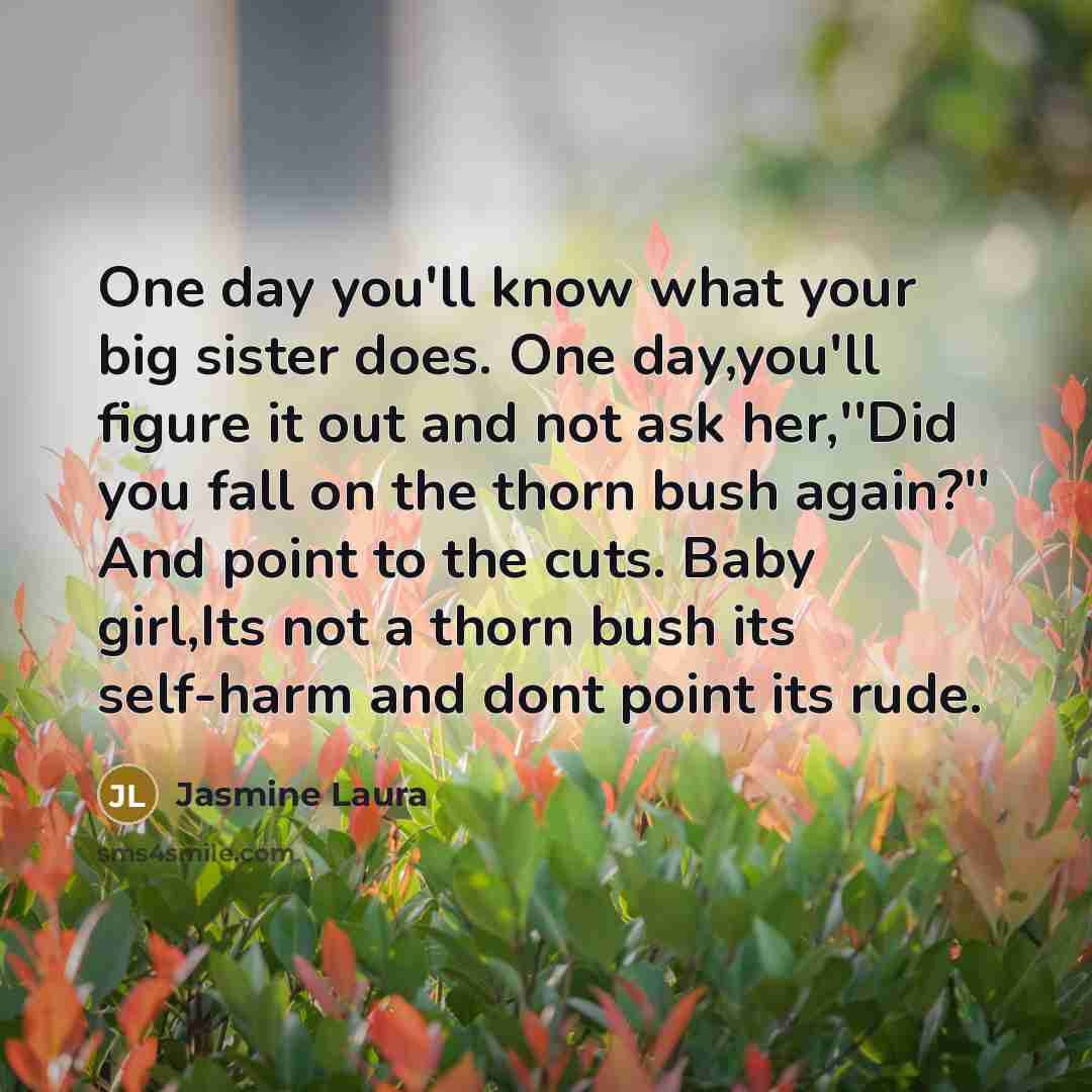 “One day you'll know what your big sister does. One…” quote by Jasmine Laura