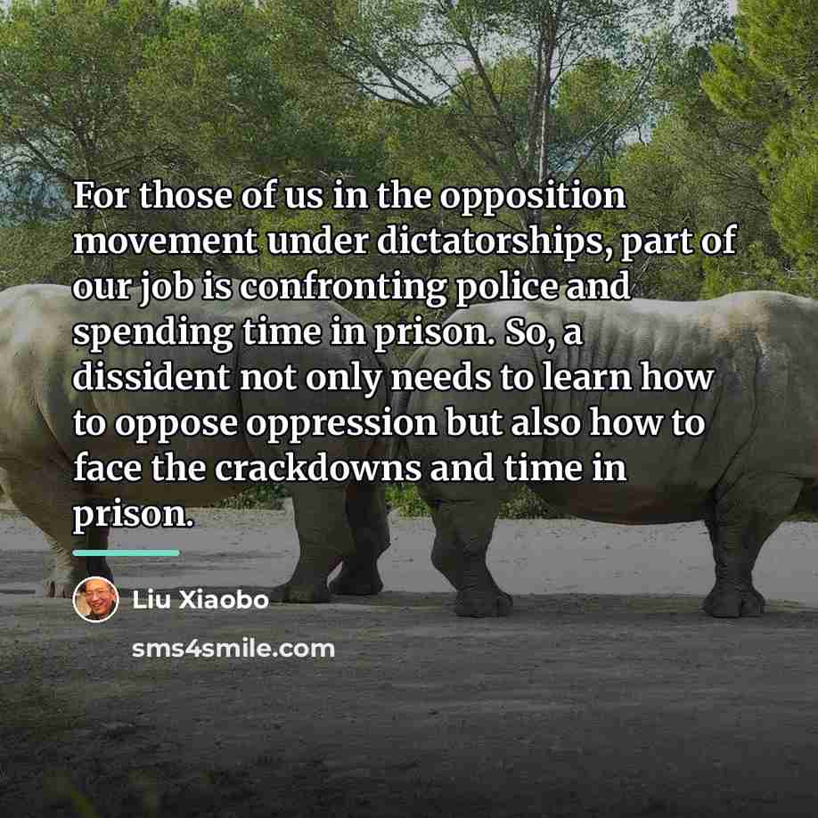 “For those of us in the opposition movement under dictatorships,…” quote by Liu Xiaobo