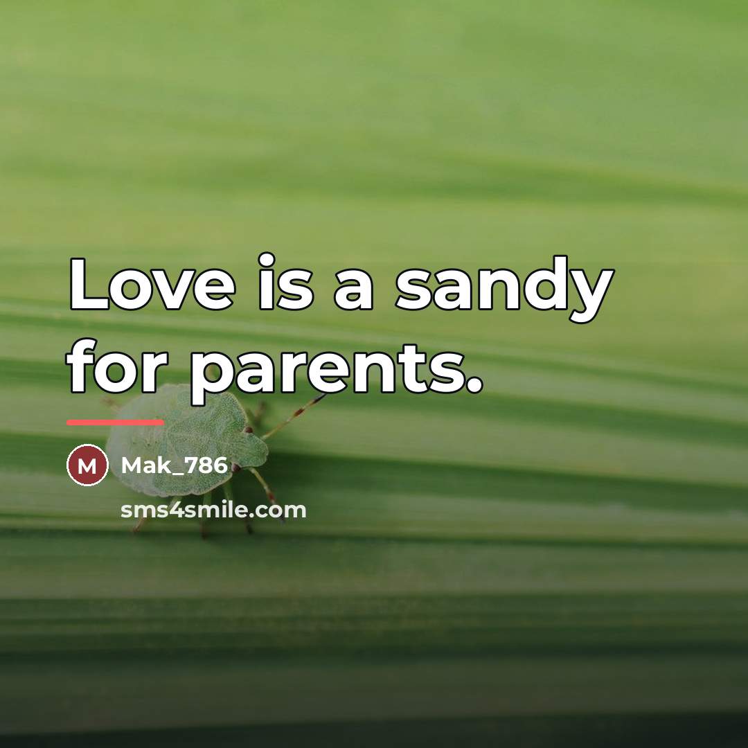 “Love is a sandy for parents.…” quote by Mak_786