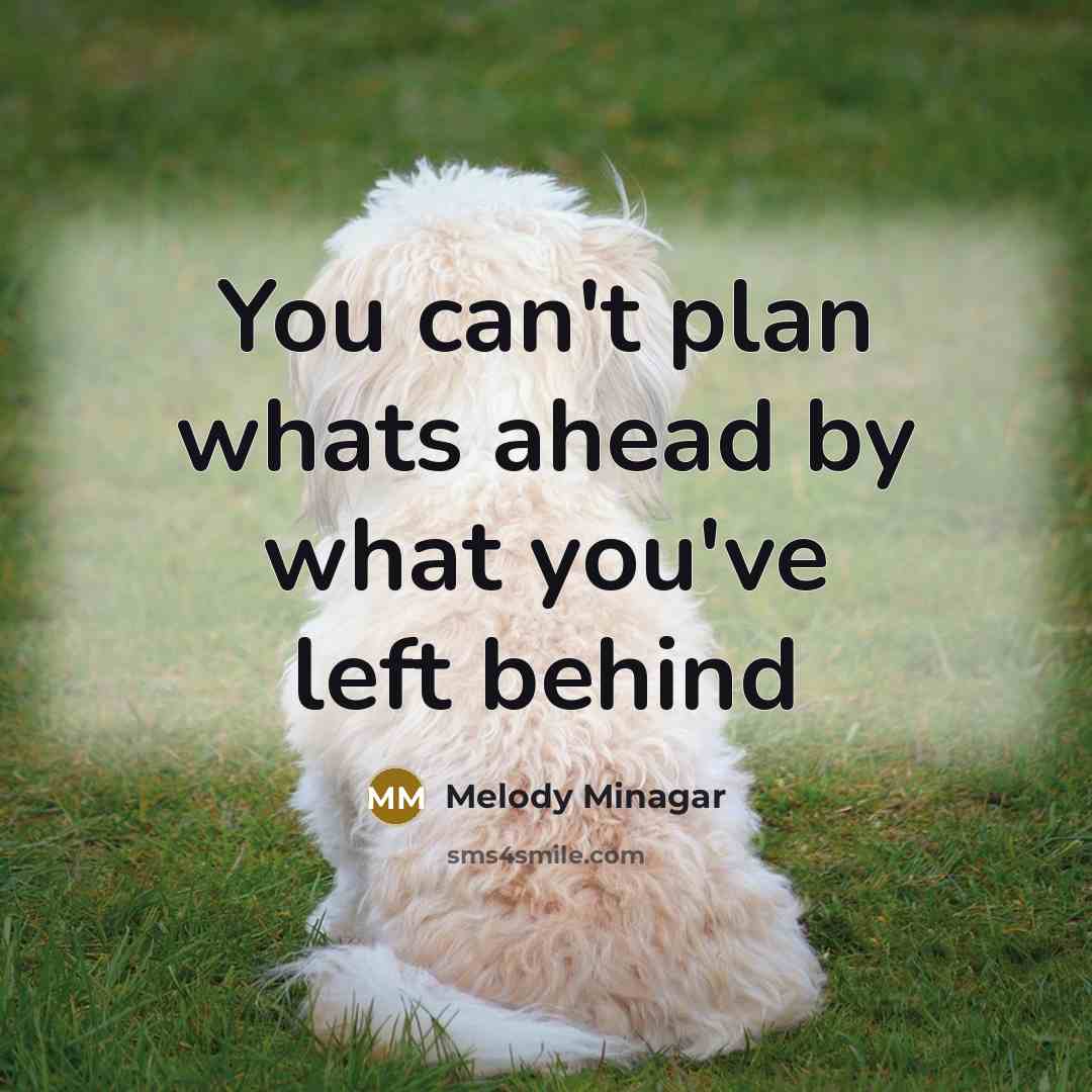 “You can't plan whats ahead by what you've left behind” quote by Melody Minagar