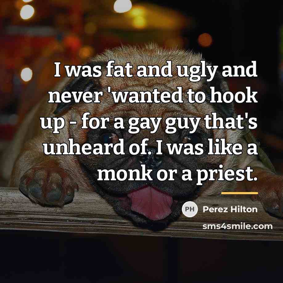 “I was fat and ugly and never 'wanted to hook…” quote by Perez Hilton
