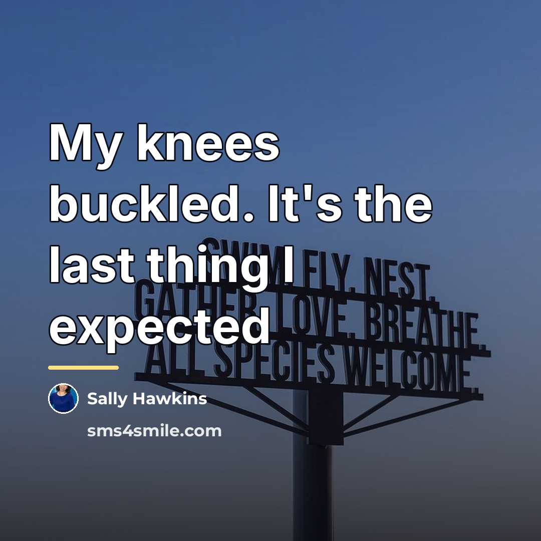 “My knees buckled. It's the last thing I expected…” quote by Sally Hawkins