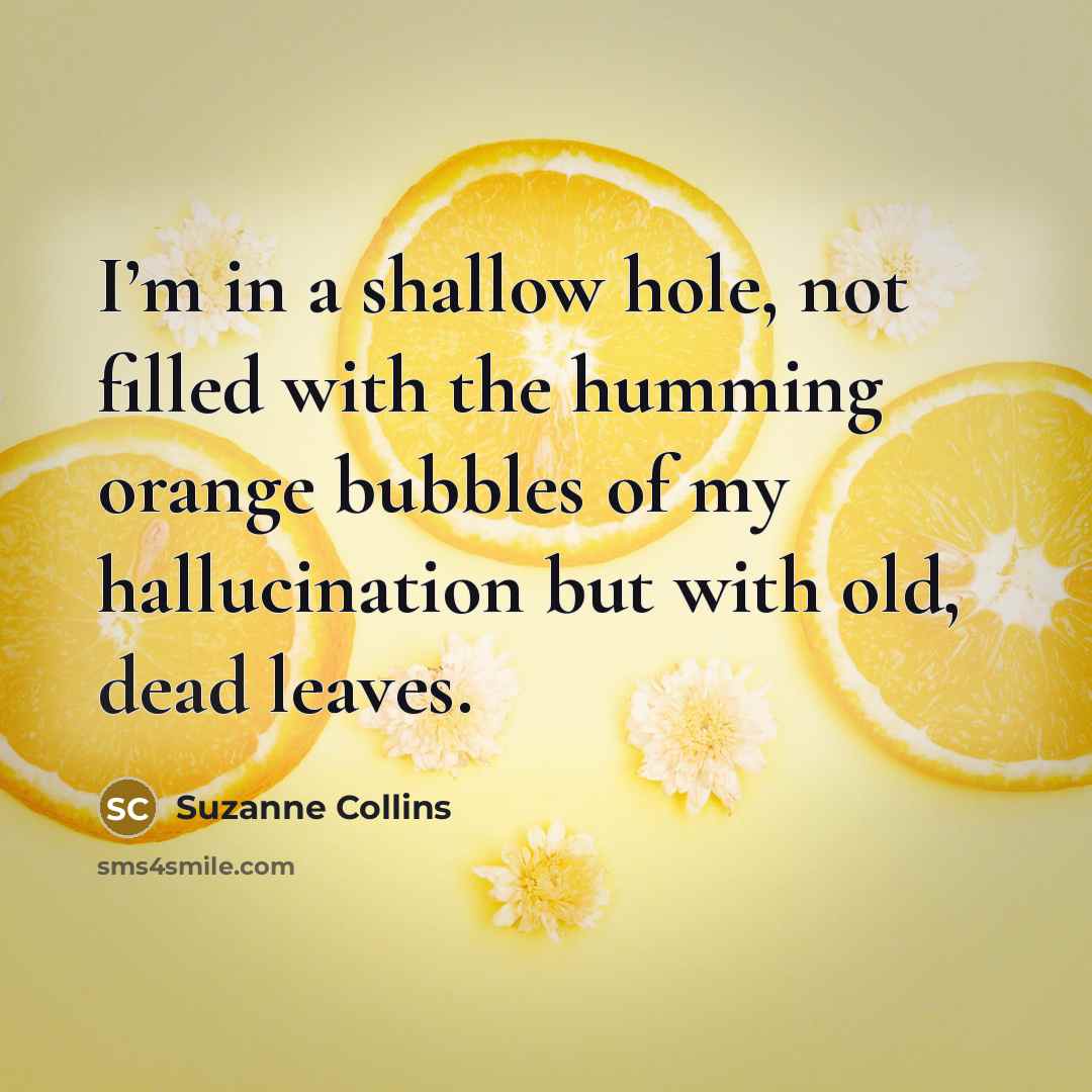“I’m in a shallow hole, not filled with the humming…” quote by Suzanne Collins