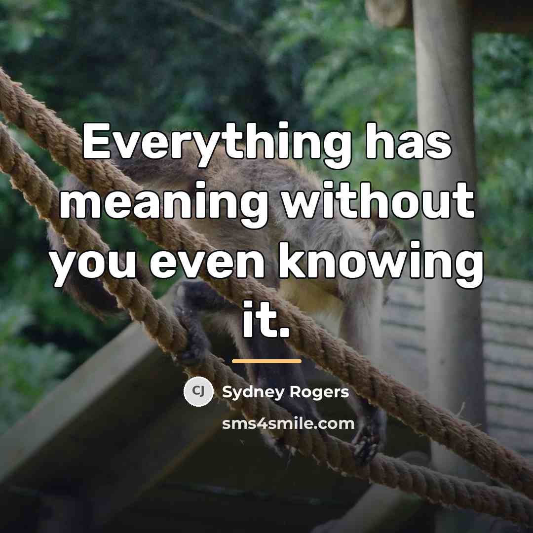 “Everything has meaning without you even knowing it.…” quote by Sydney Rogers