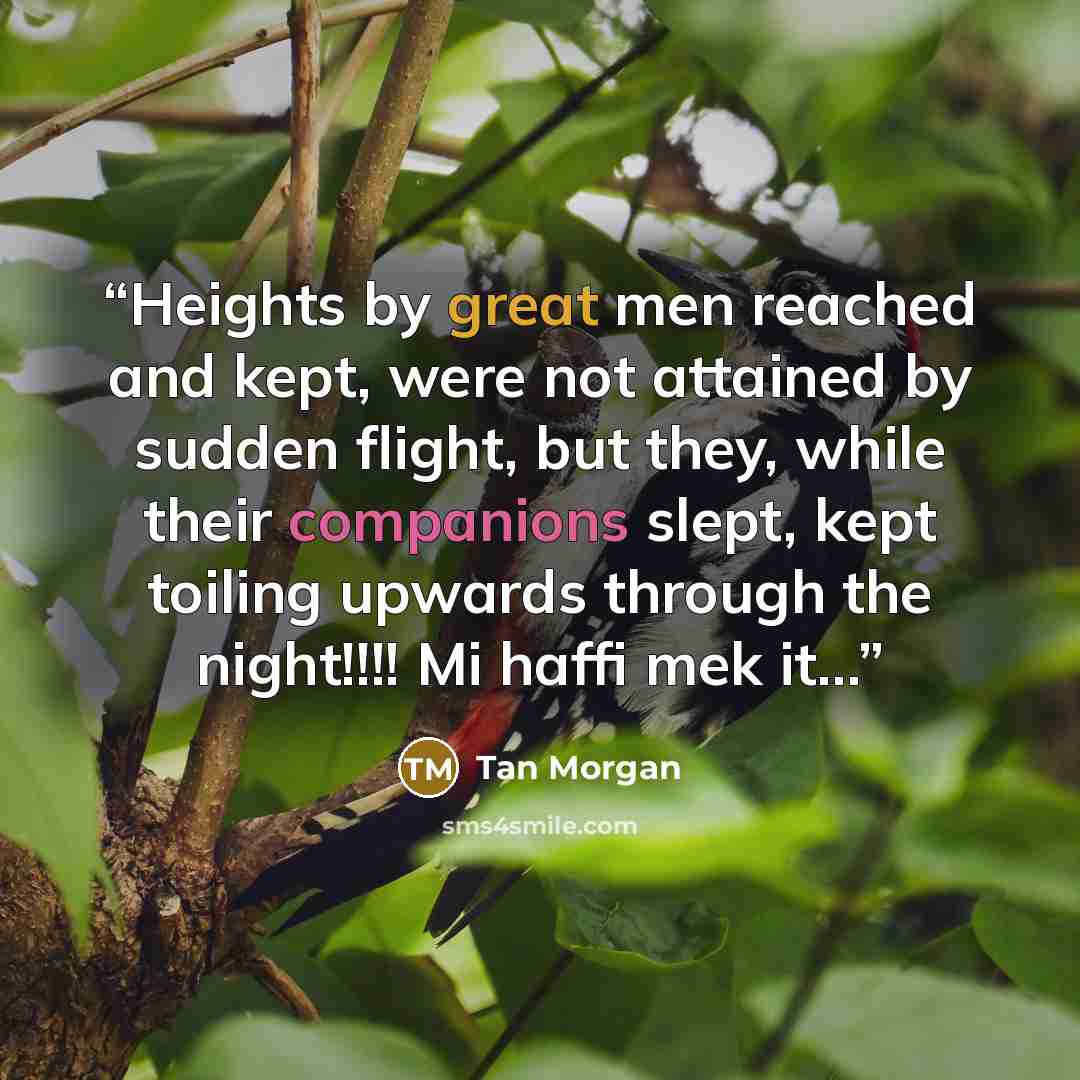 “Heights by great men reached and kept, were not attained by sudden flight, but they, while their companions slept, kept toiling upwards through the night!!!! Mi haffi mek it...” quote by Tan Morgan