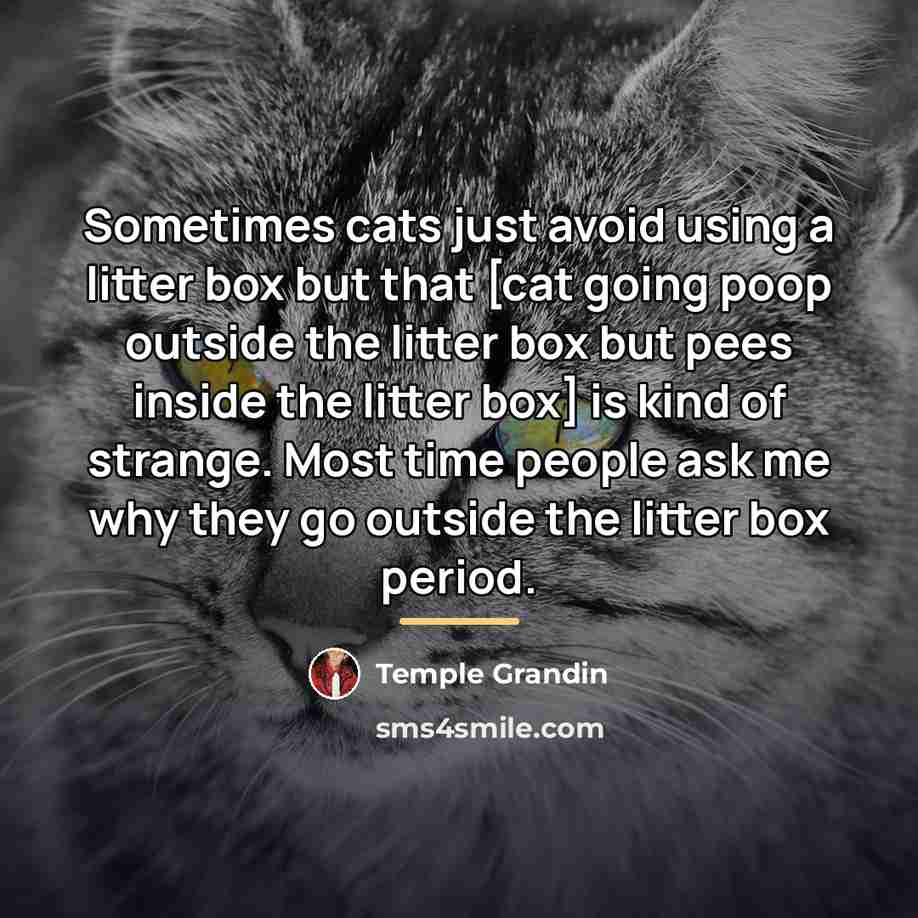 “Sometimes cats just avoid using a litter box but that…” quote by Temple Grandin