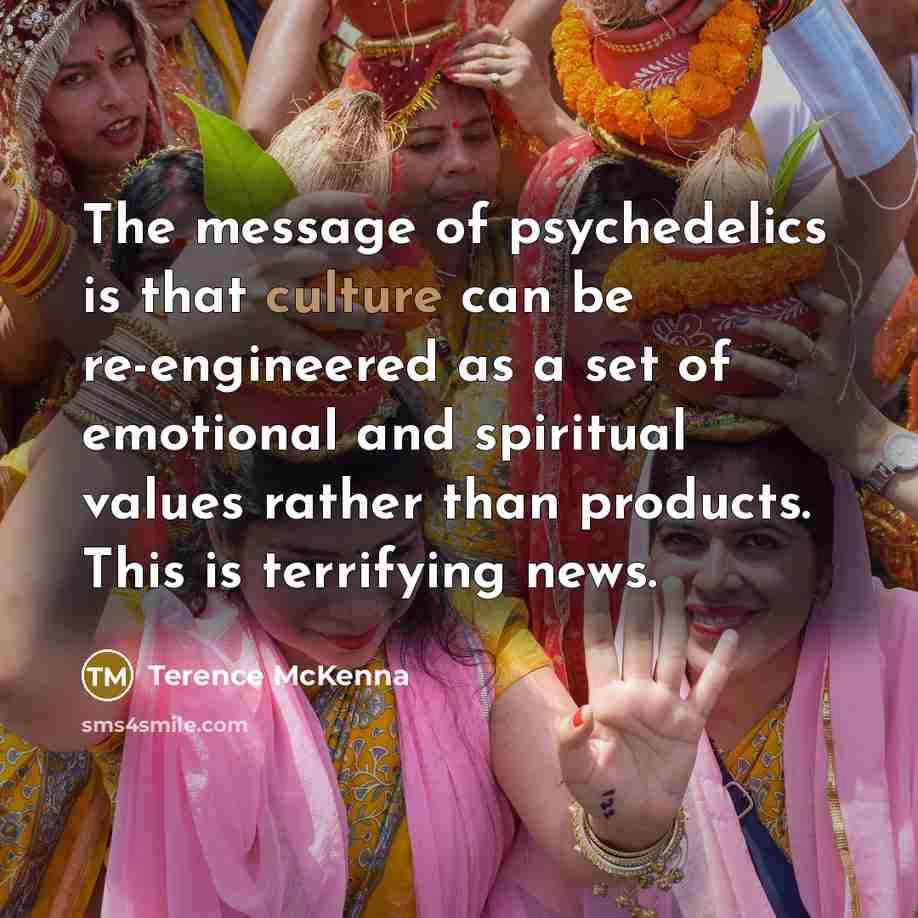 “The message of psychedelics is that culture can be re-engineered…” quote by Terence McKenna