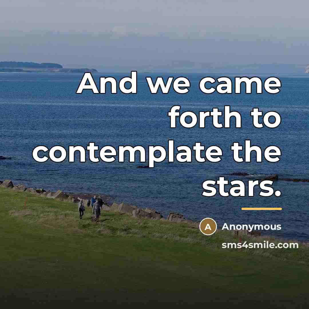 “And we came forth to contemplate the stars.…” quote by Anonymous