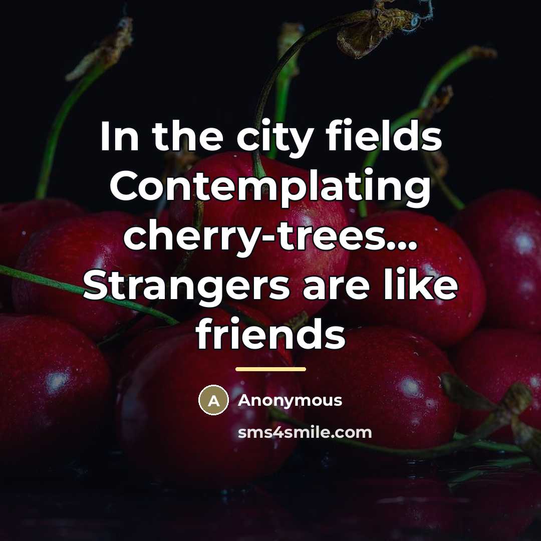 “In the city fields Contemplating cherry-trees... Strangers are like friends…” quote by Anonymous