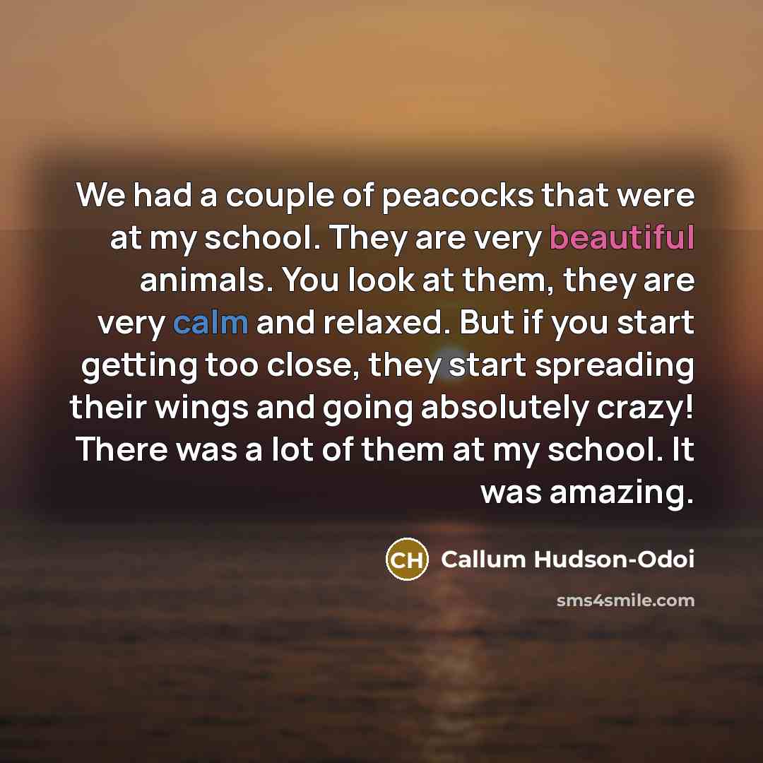 “We had a couple of peacocks that were at my…” quote by Callum Hudson-Odoi
