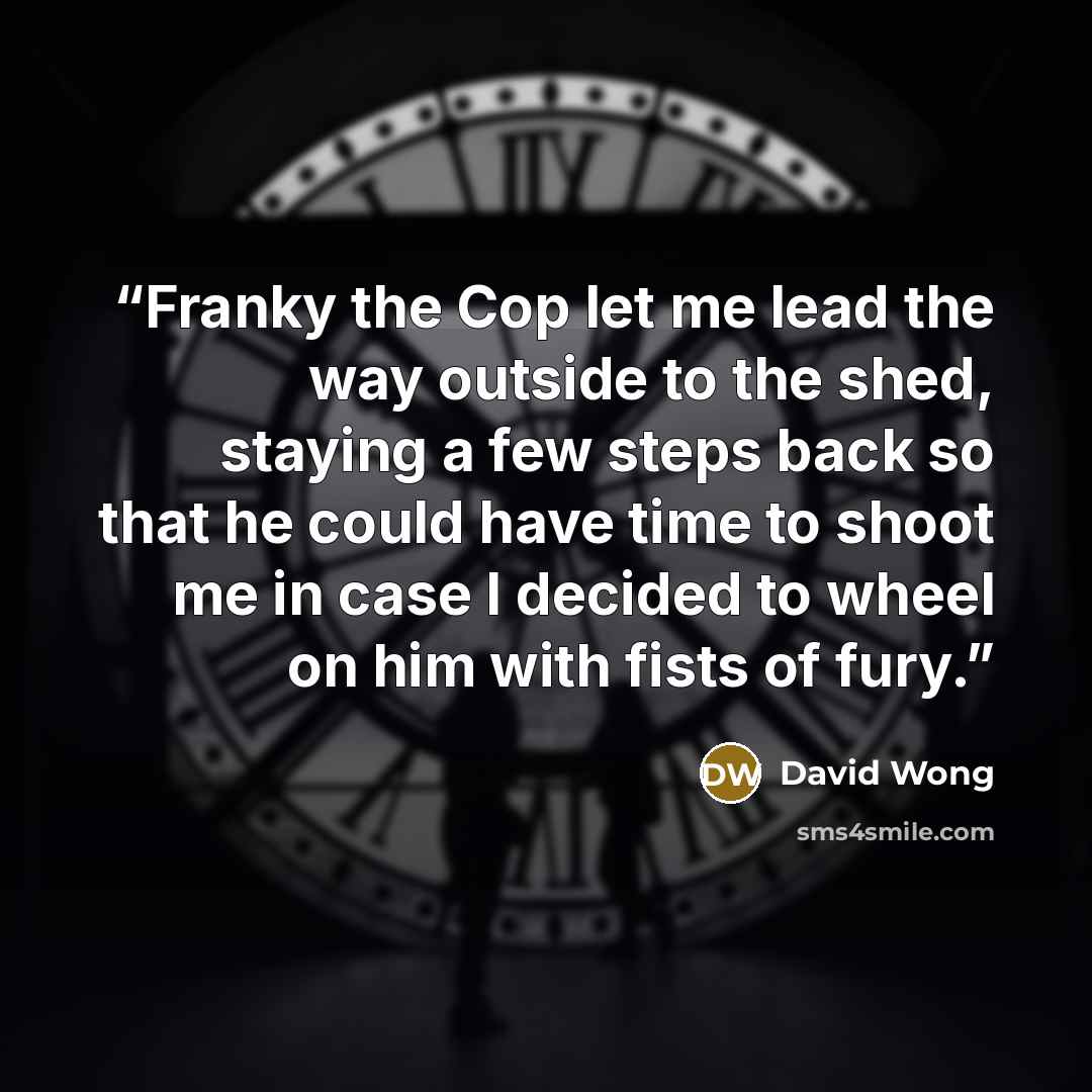 “Franky the Cop let me lead the way outside to the shed, staying a few steps back so that he could have time to shoot me in case I decided to wheel on him with fists of fury.” quote by David Wong