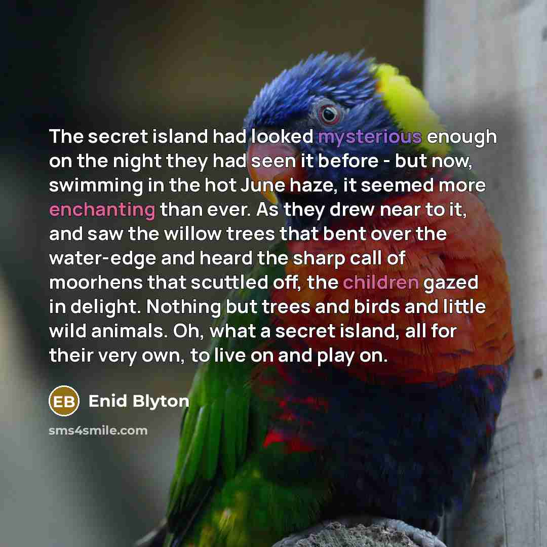“The secret island had looked mysterious enough on the night…” quote by Enid Blyton