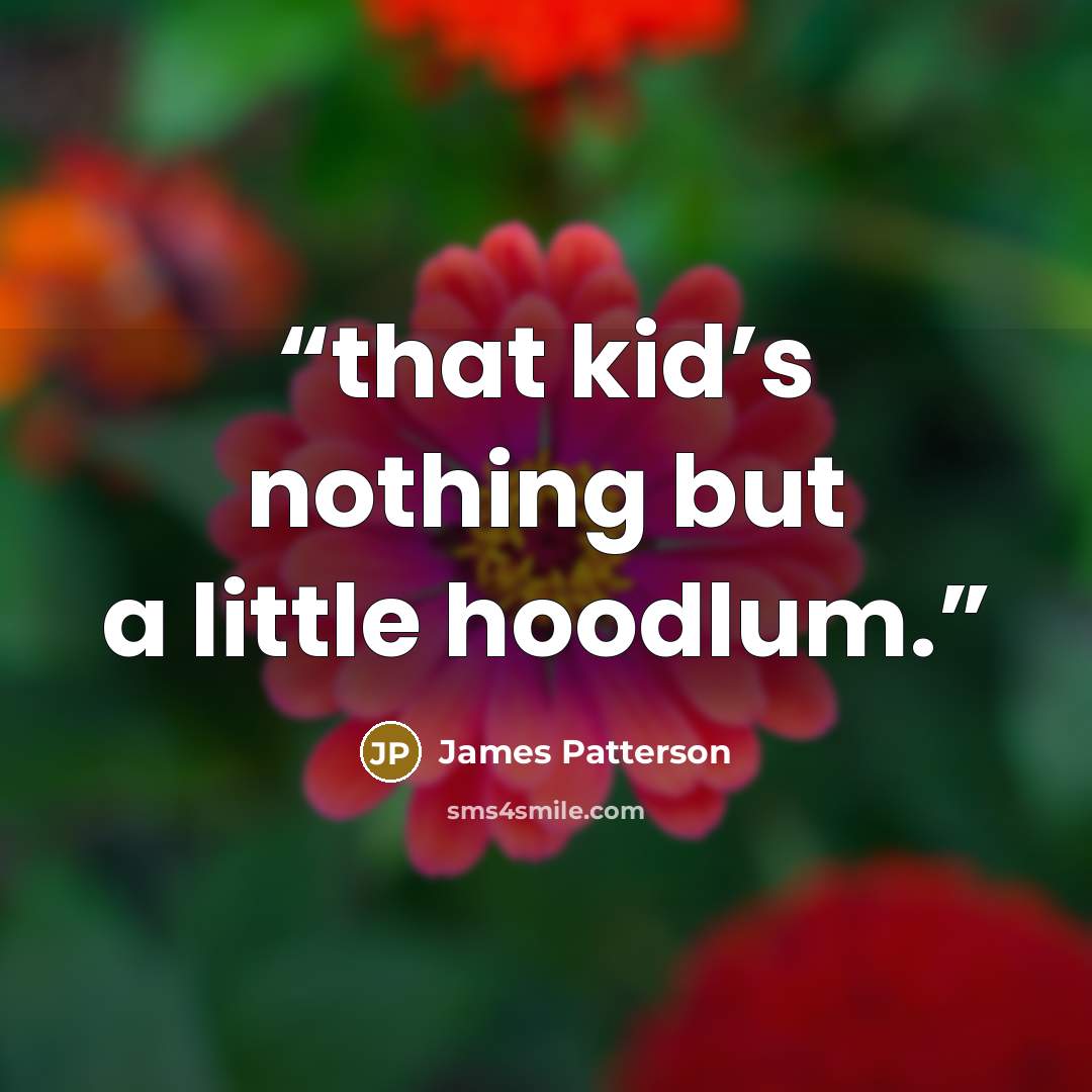 “that kid’s nothing but a little hoodlum.” quote by James Patterson