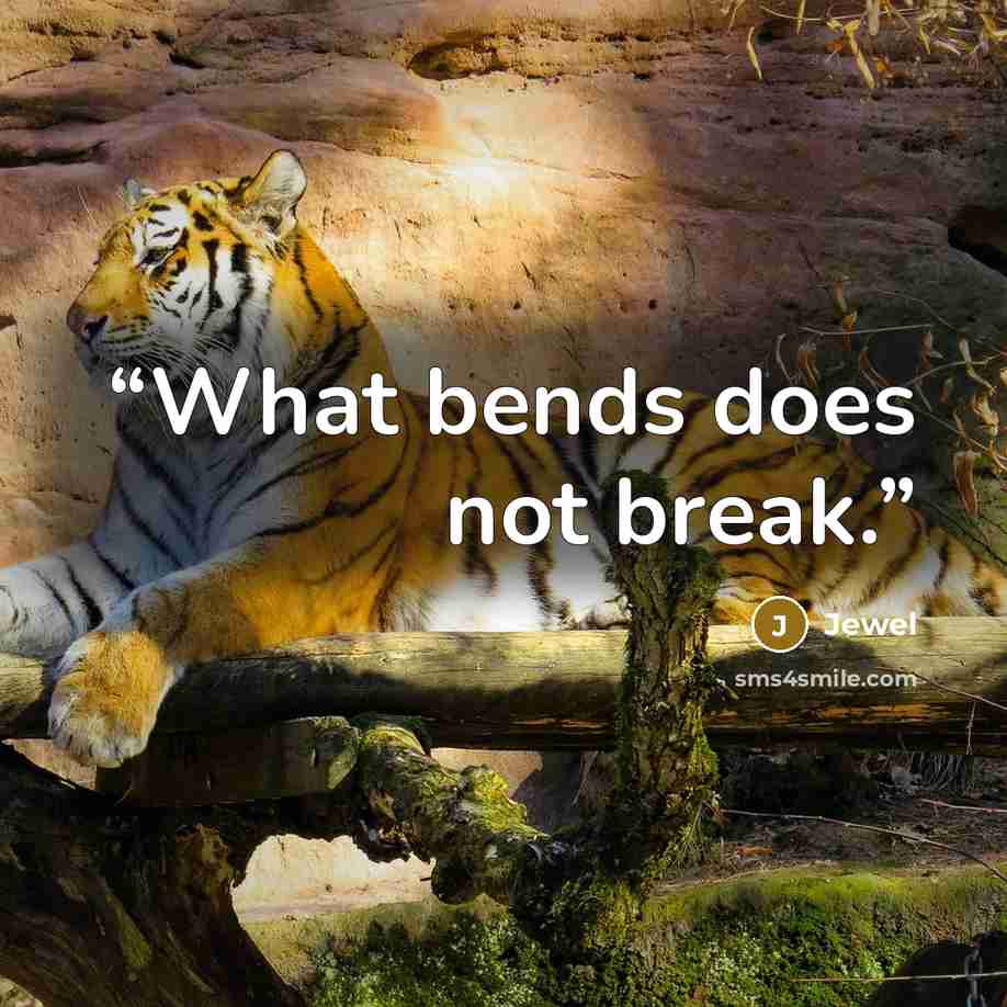 “What bends does not break.” quote by Jewel