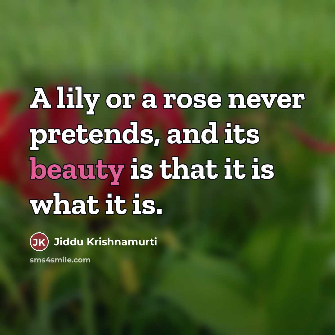 “A lily or a rose never pretends, and its beauty…” quote by Jiddu Krishnamurti