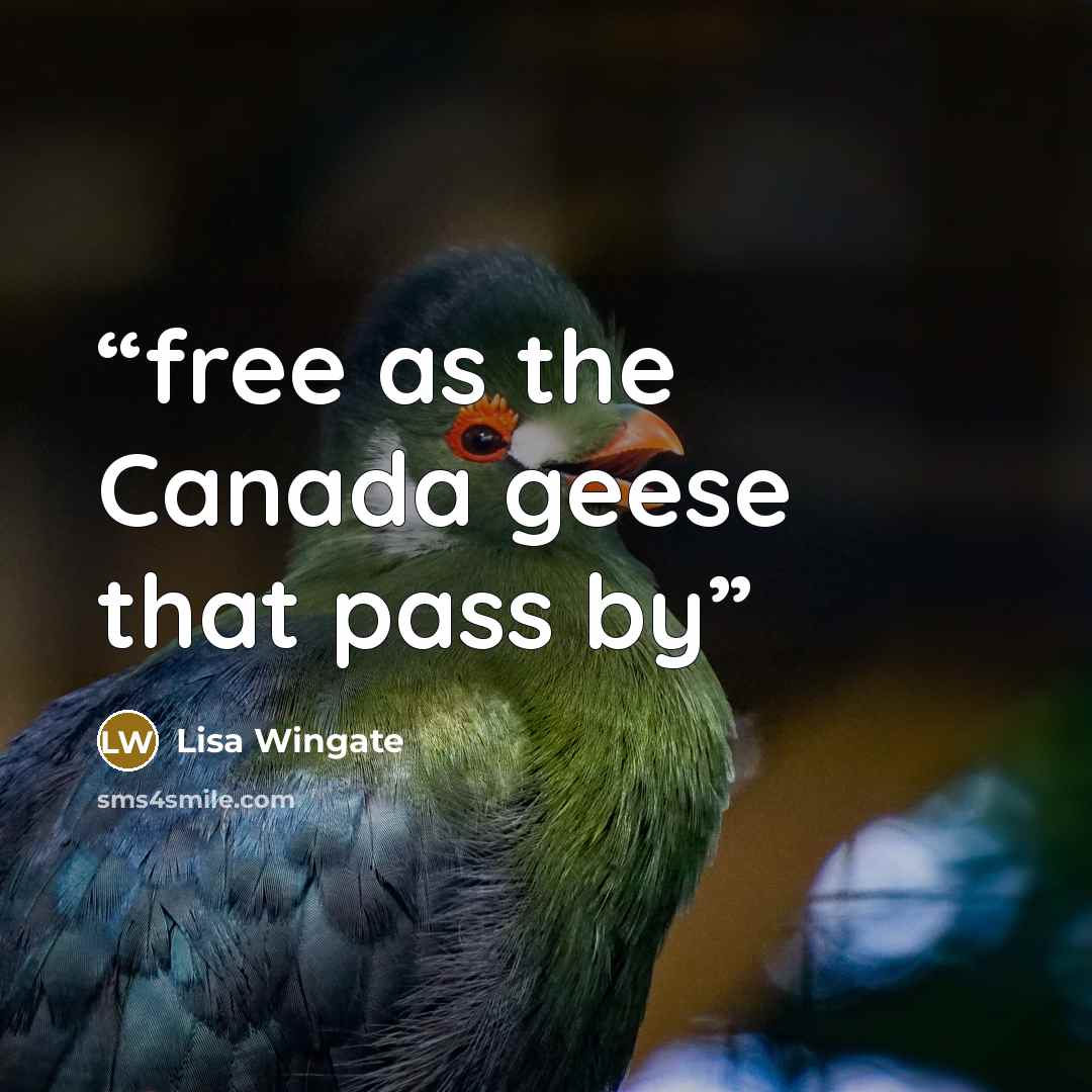 “free as the Canada geese that pass by” quote by Lisa Wingate