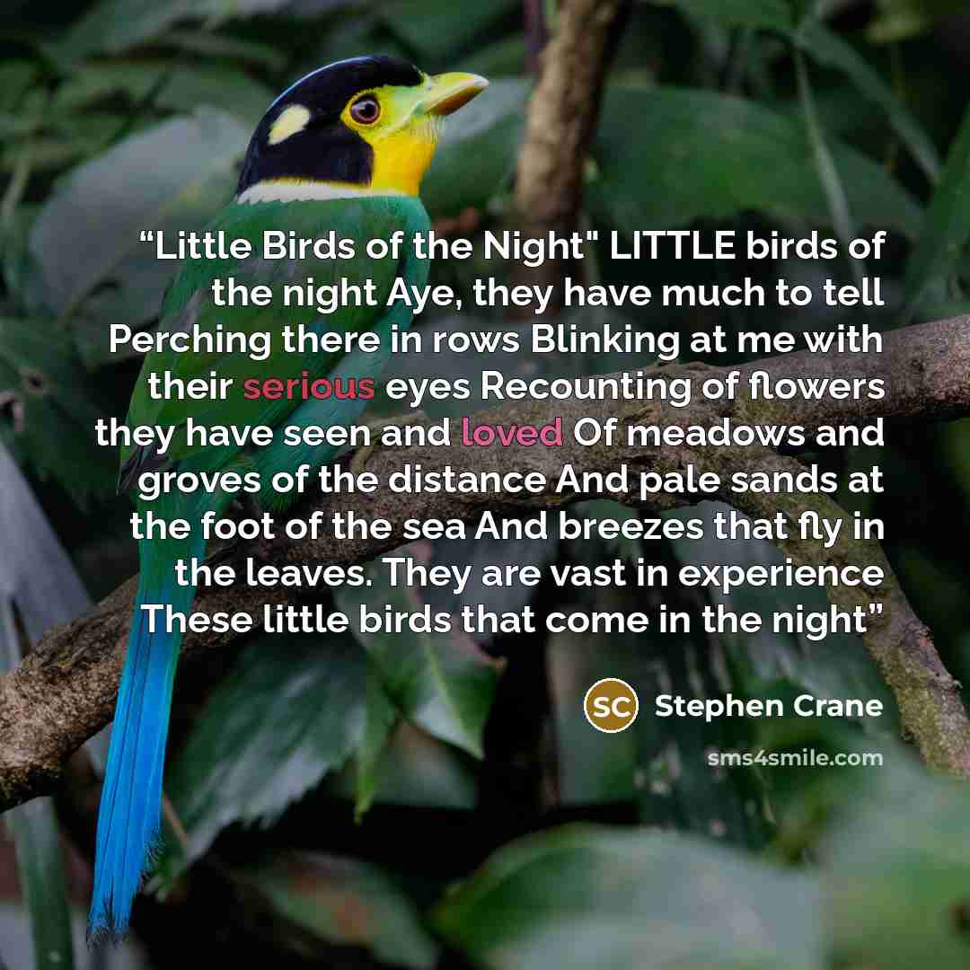 “Little Birds of the Night" LITTLE birds of the night Aye, they have much to tell Perching there in rows Blinking at me with their serious eyes Recounting of flowers they have seen and loved Of meadows and groves of the distance And pale sands at the foot of the sea And breezes that fly in the…” quote by Stephen Crane