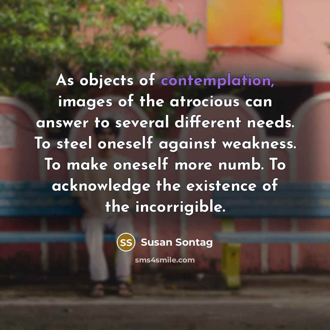“As objects of contemplation, images of the atrocious can answer…” quote by Susan Sontag