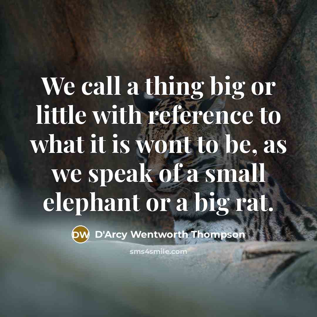“We call a thing big or little with reference to…” quote by D'Arcy Wentworth Thompson