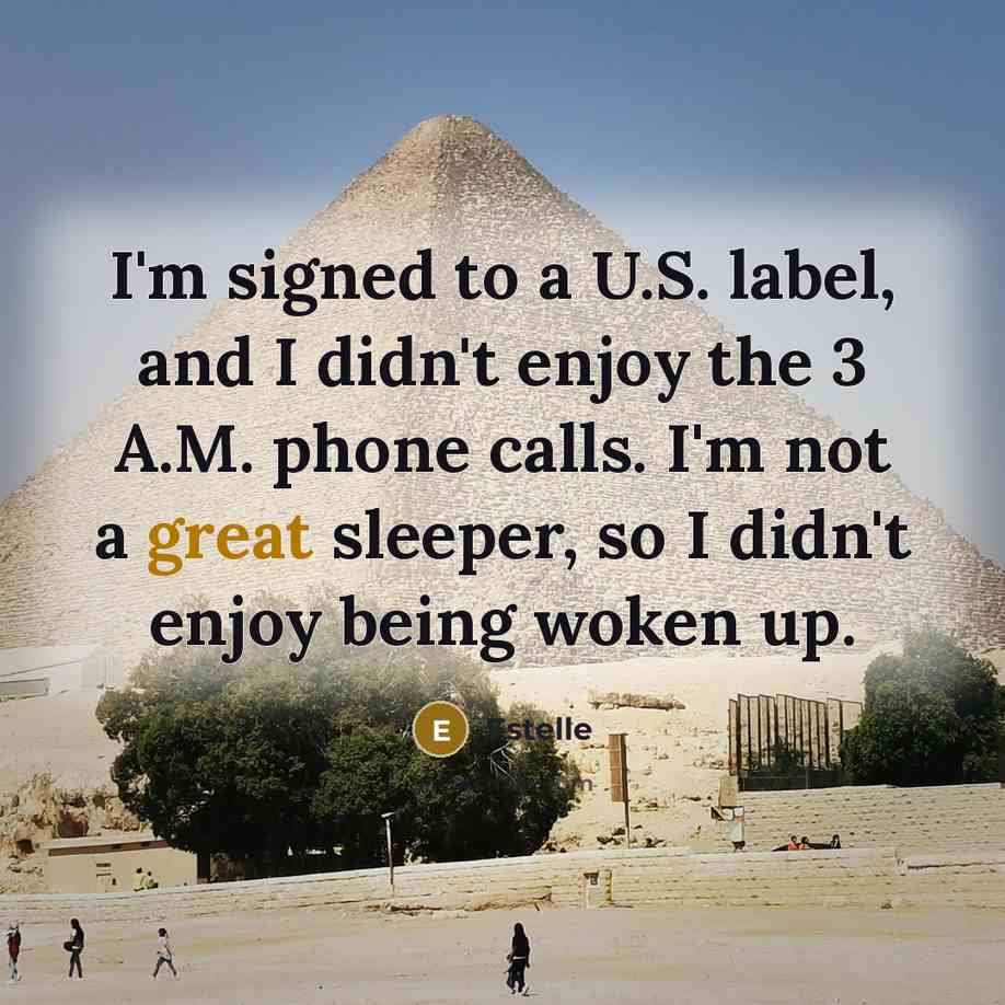 “I'm signed to a U.S. label, and I didn't enjoy…” quote by Estelle