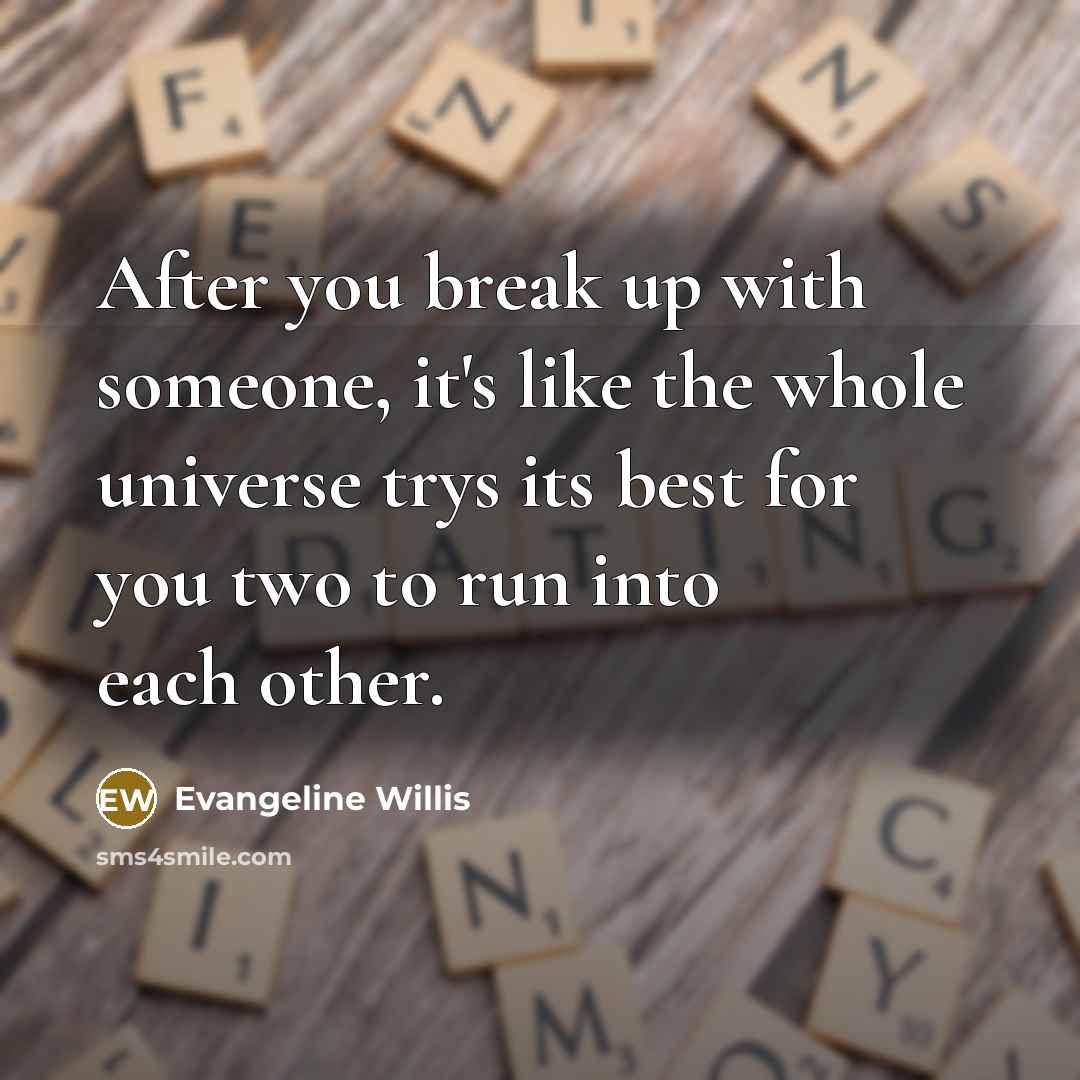 “After you break up with someone, it's like the whole universe trys its best for you two to run into each other.” quote by Evangeline Willis