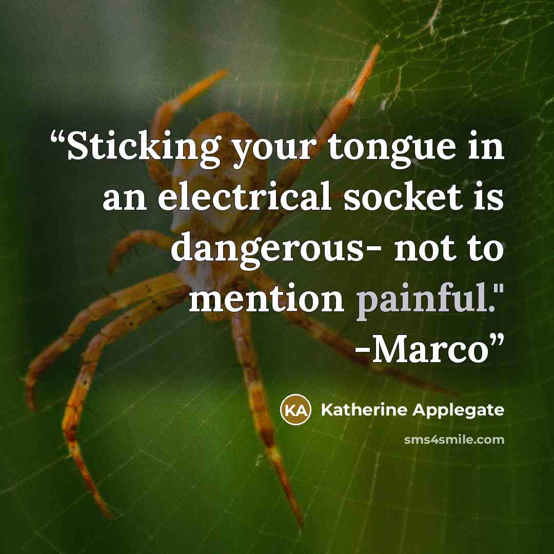 “Sticking your tongue in an electrical socket is dangerous- not to mention painful." -Marco” quote by Katherine Applegate