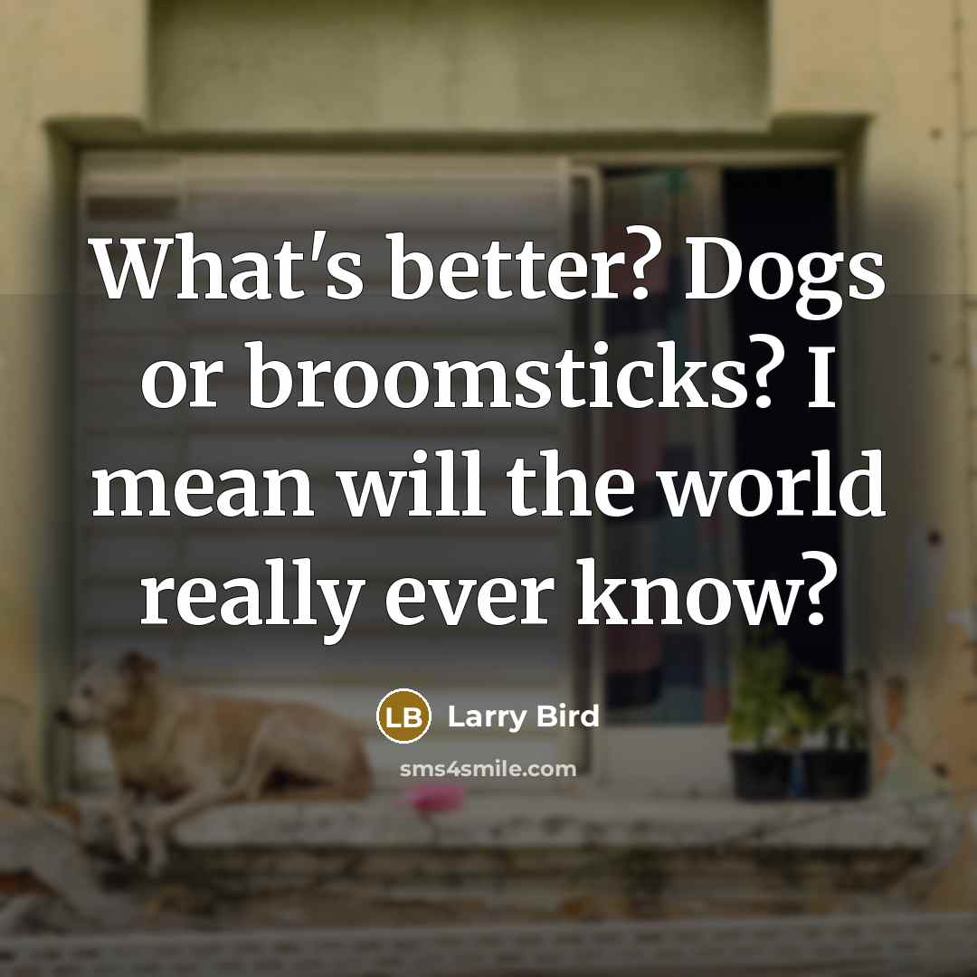 “What's better? Dogs or broomsticks? I mean will the world…” quote by Larry Bird