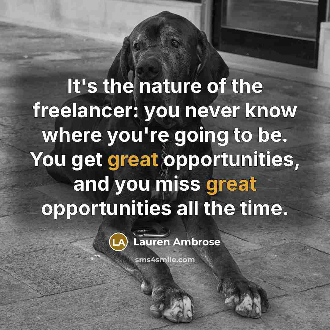 “It's the nature of the freelancer: you never know where…” quote by Lauren Ambrose