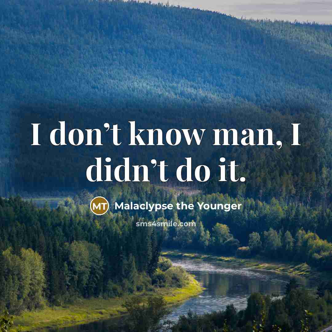 “I don’t know man, I didn’t do it.…” quote by Malaclypse the Younger