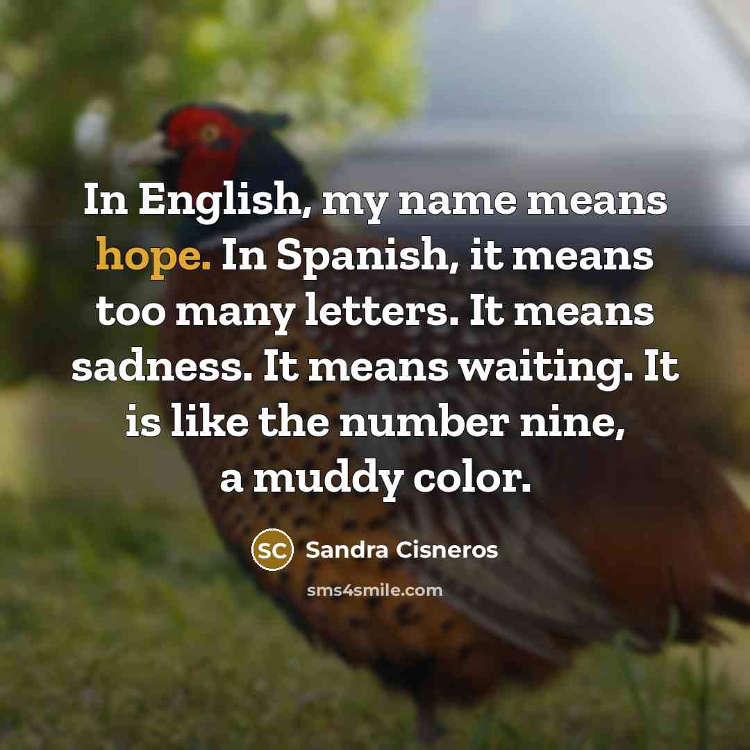“In English, my name means hope. In Spanish, it means…” quote by Sandra Cisneros