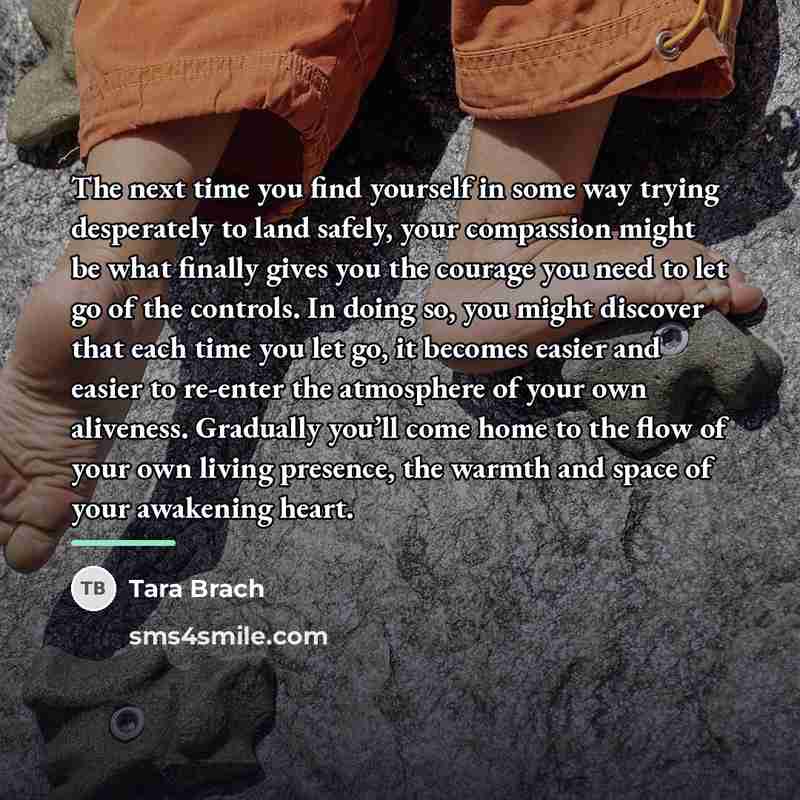 “The next time you find yourself in some way trying…” quote by Tara Brach