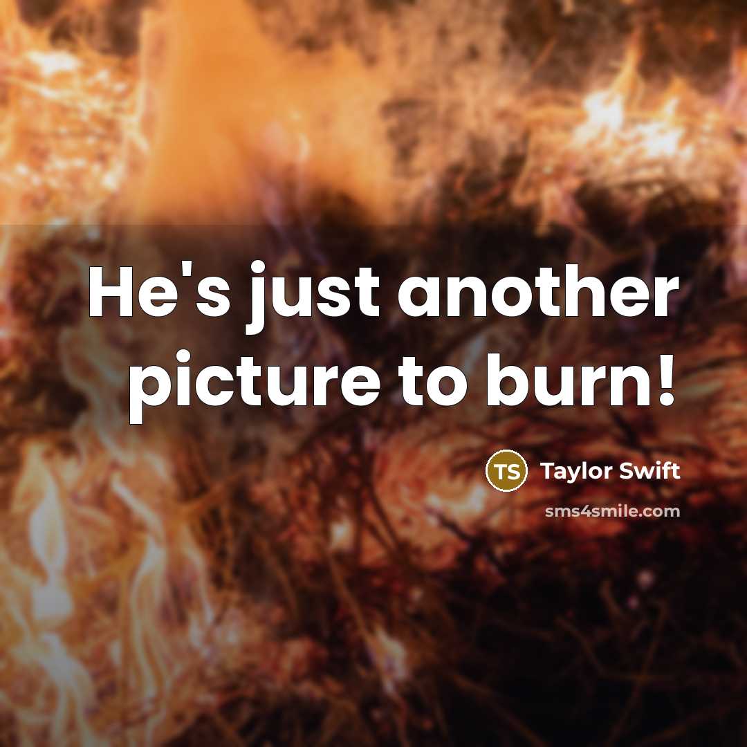 “He's just another picture to burn!…” quote by Taylor Swift