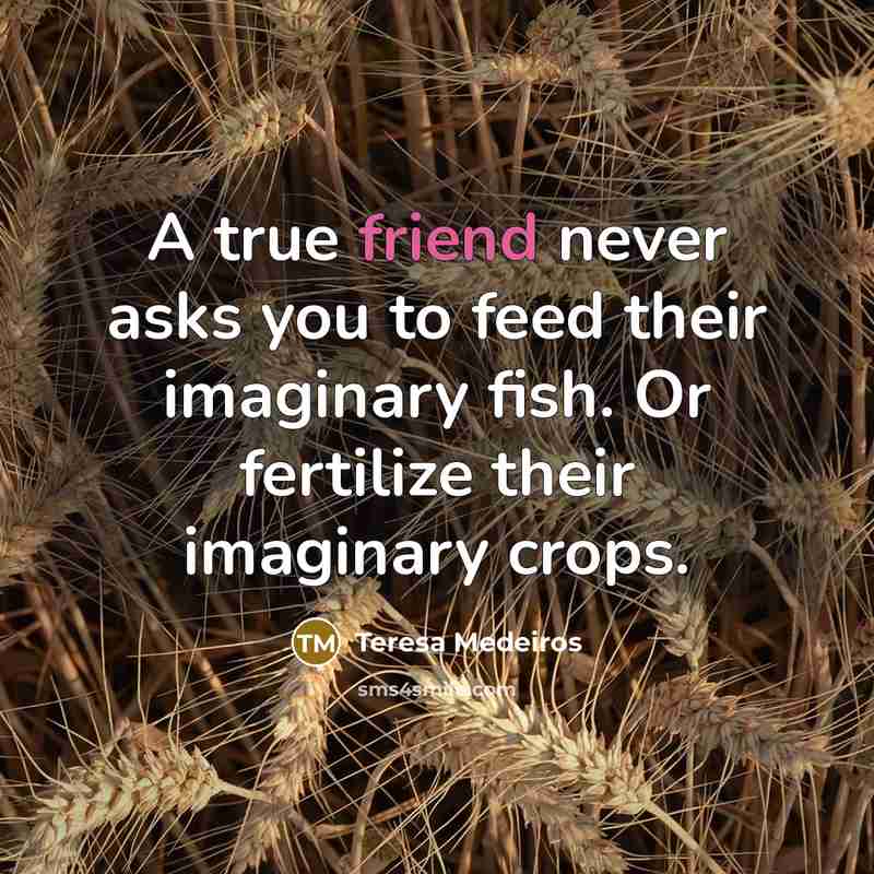 “A true friend never asks you to feed their imaginary…” quote by Teresa Medeiros