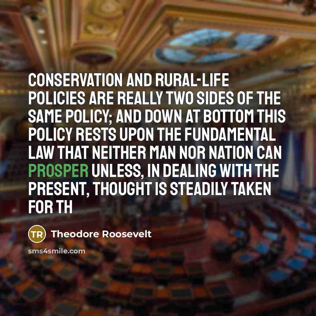 “Conservation and rural-life policies are really two sides of the same policy; and down at bottom this policy rests upon the fundamental law that neither man nor nation can prosper unless, in dealing with the present, thought is steadily taken for th” quote by Theodore Roosevelt