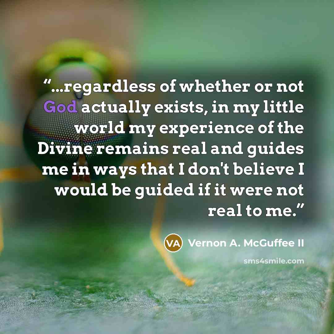 “...regardless of whether or not God actually exists, in my little world my experience of the Divine remains real and guides me in ways that I don't believe I would be guided if it were not real to me.” quote by Vernon A. McGuffee II